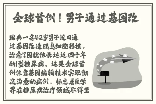 新任女教师